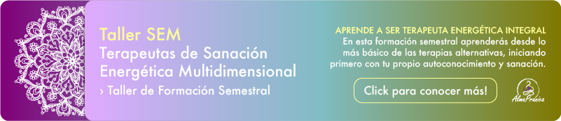 curso para ser terapeutas en sanación energética multidimensional, dictado en centro Alma Pránica, ubicado en Pucón, Chile